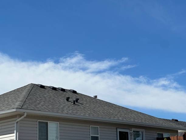 Best Cold Roofs  in Dayton, IN